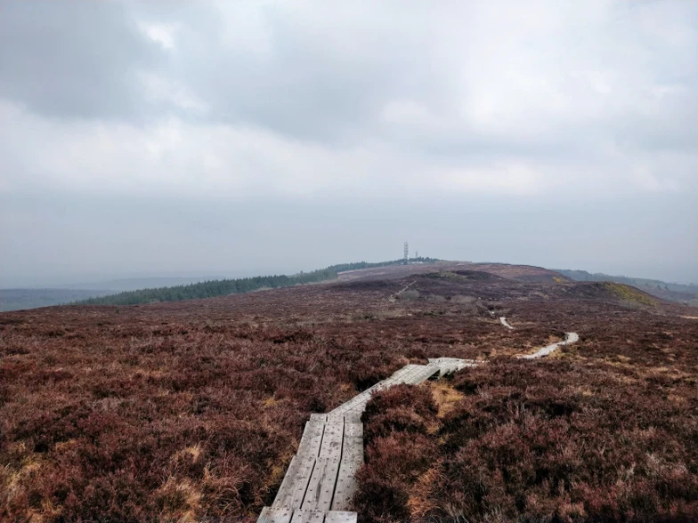 Slieve Bloom Mountains, IE ~ 2019