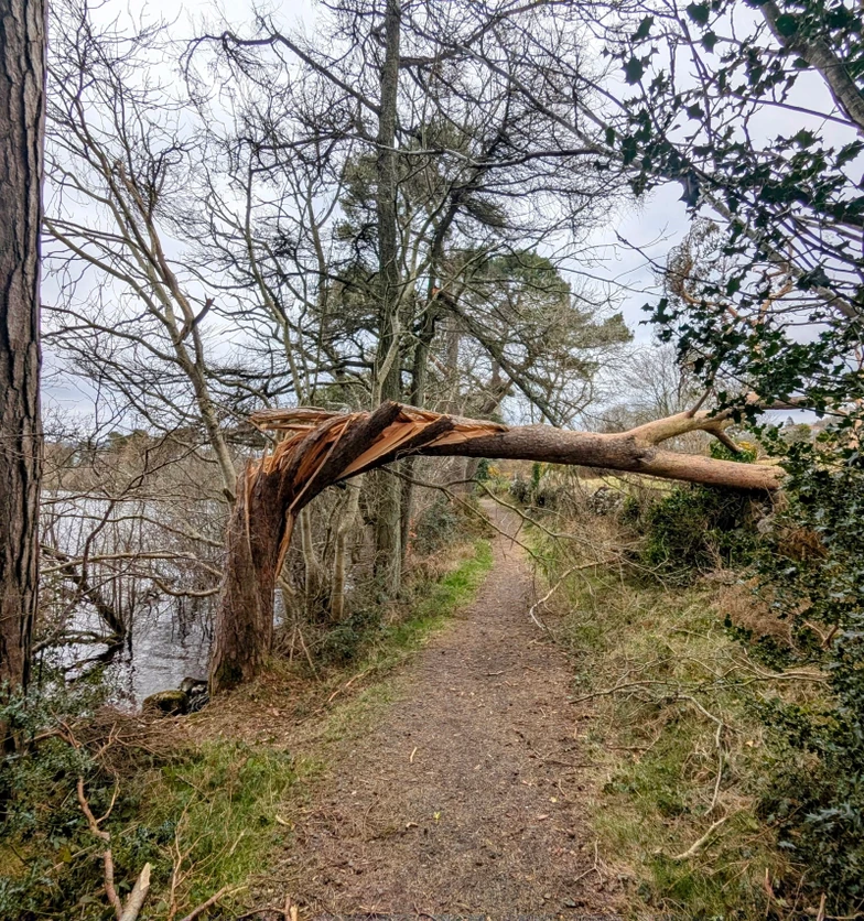 Varty Reservoir, IE ~ 2025